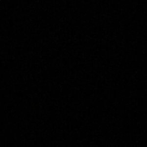 Meet your Posher, Amelia